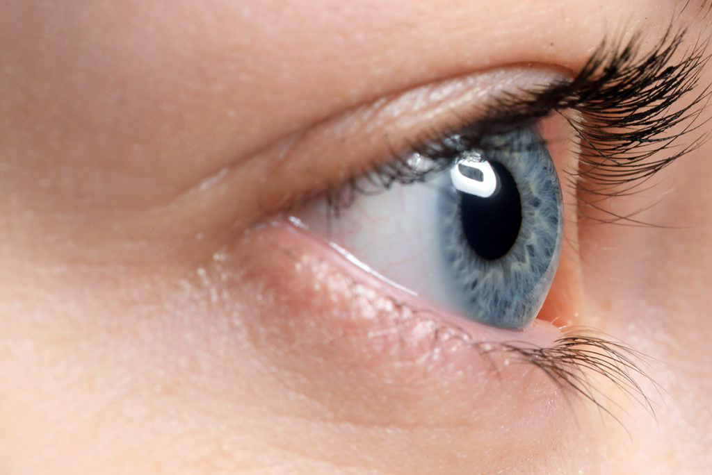 Das Auge in Nahaufnahme Unser Sehsinn arbeitet nachts oder in der Dämmerung anders als am Tag.